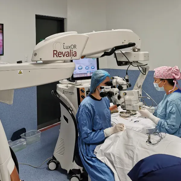 Experiencia verificada